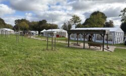 Retour sur la Fête de la Gare